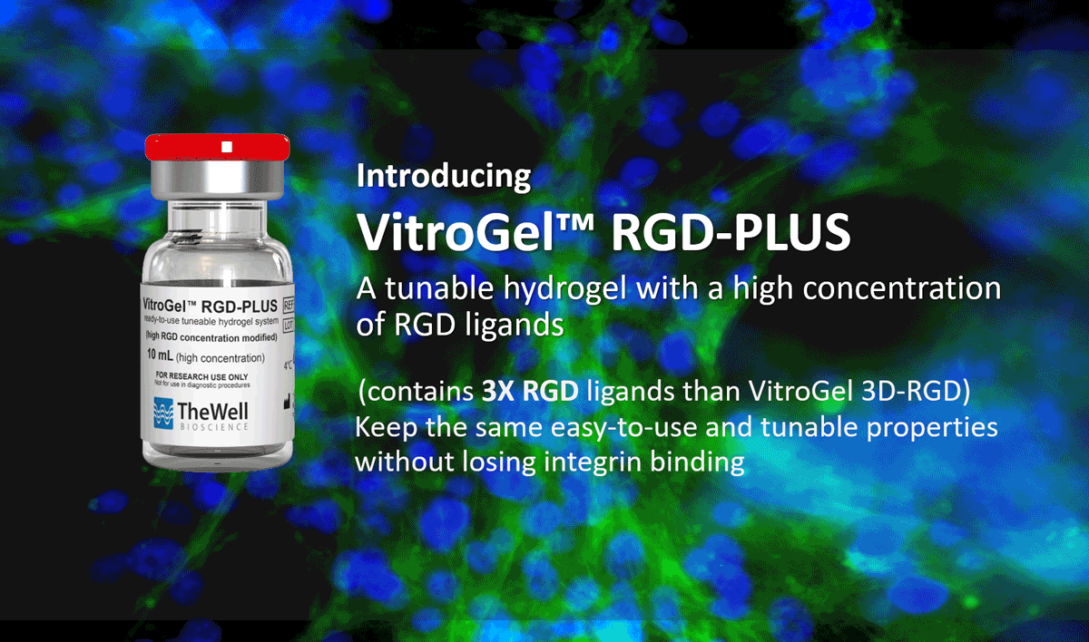 Introducing VitroGel RGD-PLUS: 3X Stranger for 3D Cell Culture